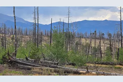 Lot 1177 Bechtel Place, Fort Garland, CO 81133 - Photo 3