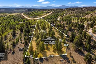 1720 Ute Trail, Como, CO 80432 - Photo 5