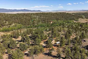 1720 Ute Trail, Como, CO 80432 - Photo 43