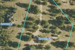 1720 Ute Trail, Como, CO 80432 - Photo 47