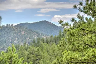 15175 Rainbow Dr, Sedalia, CO 80135 - Photo 39