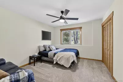 324 Black Hawk Circle, Silverthorne, CO 80498 - Photo 29