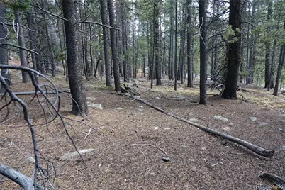 000 Loch Lomond Rd & Vista Rd, Idaho Springs, CO 80452 - Photo 1