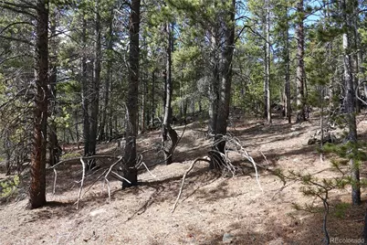 000 Loch Lomond Rd & Vista Rd, Idaho Springs, CO 80452 - Photo 21