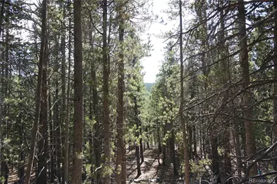 000 Loch Lomond Rd & Vista Rd, Idaho Springs, CO 80452 - Photo 19