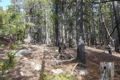 000 Loch Lomond Rd & Vista Rd, Idaho Springs, CO 80452 - Photo 25
