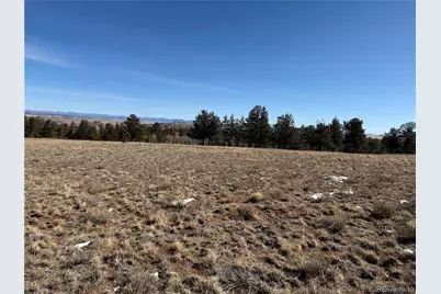 773 Hayhook Way, Hartsel, CO 80449 - Photo 15