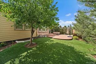 10632 Star Thistle Ct, Highlands Ranch, CO 80126 - Photo 45