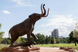 2539 N Lafayette St, Denver, CO 80205 - Photo 25