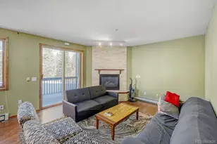 10000 Ryan Gulch Rd, Silverthorne, CO 80498 - Photo 3