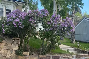 202 E 1st High St, Central City, CO 80427 - Photo 41