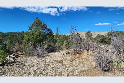 Tbd L I Path, Cotopaxi, CO 81223 - Photo 21