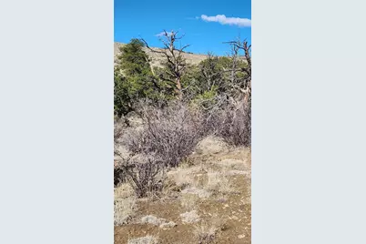 Tbd L I Path, Cotopaxi, CO 81223 - Photo 17