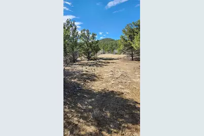 Tbd L I Path, Cotopaxi, CO 81223 - Photo 11