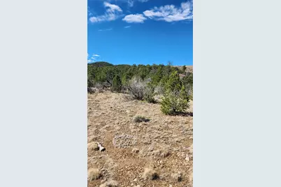 Tbd L I Path, Cotopaxi, CO 81223 - Photo 3