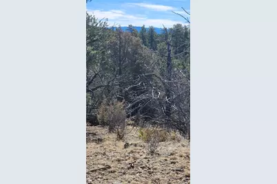 Tbd L I Path, Cotopaxi, CO 81223 - Photo 29