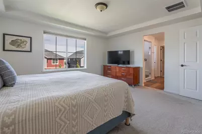 1037 Magnolia Street, Erie, CO 80516 - Photo 17