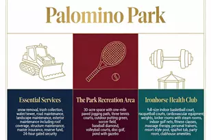 8540 Gold Peak Ln, Highlands Ranch, CO 80130 - Photo 3