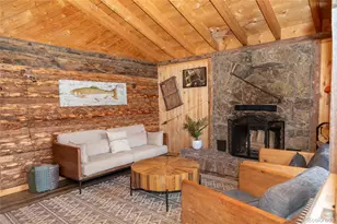 1001 County Road 17, Lake City, CO 81235 - Photo 3