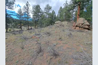 1077 Roland Drive, Bailey, CO 80421 - Photo 1