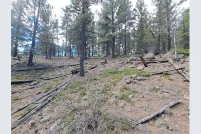 1077 Roland Drive, Bailey, CO 80421 - Photo 11