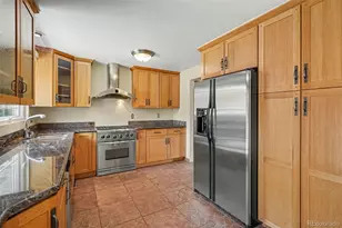 435 Dione Pl, Lone Tree, CO 80124 - Photo 7