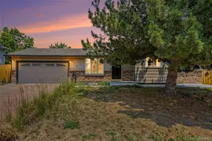 435 Dione Pl, Lone Tree, CO 80124 - Photo 29