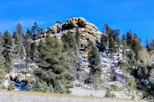 5265 Co Rd 100, Florissant, CO 80816 - Photo 5