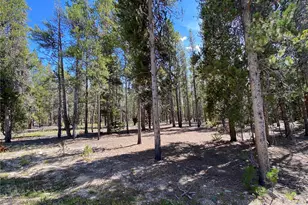 349 Augusta Dr, Leadville, CO 80461 - Photo 1