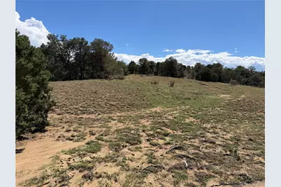 Lots 81A & 101 Twin Lakes Ranch, Walsenburg, CO 81089 - Photo 7