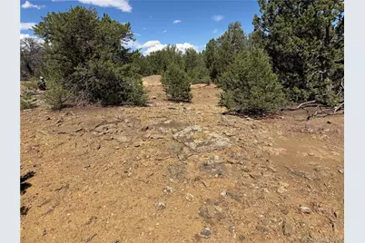 Lots 81A & 101 Twin Lakes Ranch, Walsenburg, CO 81089 - Photo 9