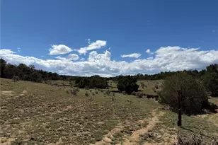 Lots 81A & 101 Twin Lakes Ranch, Walsenburg, CO 81089 - Photo 1