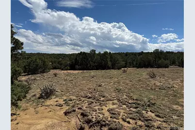 Lots 81A & 101 Twin Lakes Ranch, Walsenburg, CO 81089 - Photo 15