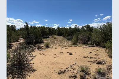 Lots 81A & 101 Twin Lakes Ranch, Walsenburg, CO 81089 - Photo 3