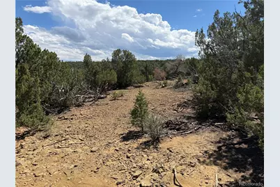 Lots 81A & 101 Twin Lakes Ranch, Walsenburg, CO 81089 - Photo 17