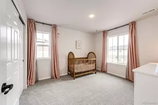 5757 Mammoth Ln, Colorado Springs, CO 80927 - Photo 17