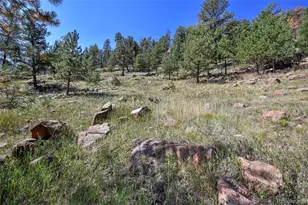 79 Ranch View Dr, Florissant, CO 80816 - Photo 11