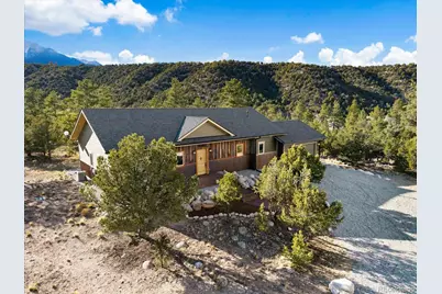 14982 Mary Murphy Drive, Nathrop, CO 81236 - Photo 3