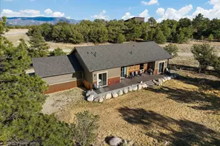 14982 Mary Murphy Dr, Nathrop, CO 81236 - Photo 31