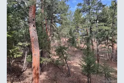 8169 Bannock Drive, Larkspur, CO 80118 - Photo 7