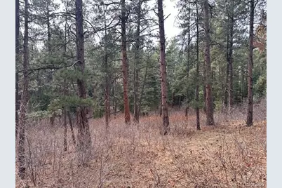 8169 Bannock Drive, Larkspur, CO 80118 - Photo 13