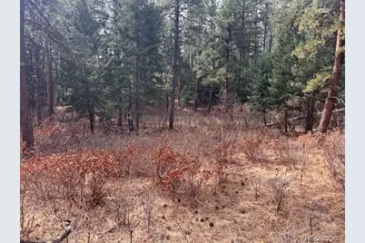 8169 Bannock Drive, Larkspur, CO 80118 - Photo 11