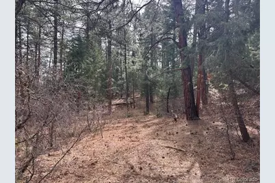 8169 Bannock Drive, Larkspur, CO 80118 - Photo 5