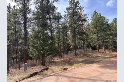 8169 Bannock Drive, Larkspur, CO 80118 - Photo 17