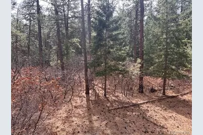 8169 Bannock Drive, Larkspur, CO 80118 - Photo 3