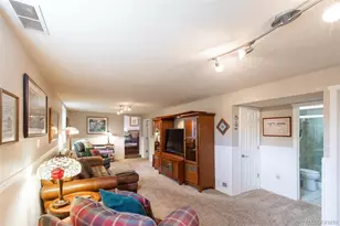 29255 Pinon Circle, Buena Vista, CO 81211 - Photo 29