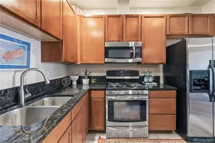 1700 N Emerson Street, Denver, CO 80218 - Photo 9
