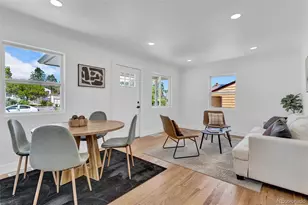 828 Irving St, Denver, CO 80204 - Photo 9