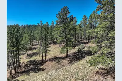 000 Hayden Ridge Road, Evergreen, CO 80439 - Photo 7