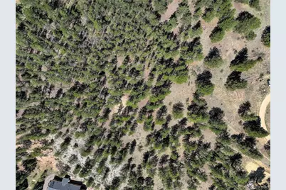 000 Hayden Ridge Road, Evergreen, CO 80439 - Photo 5